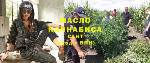 индика Волоколамск