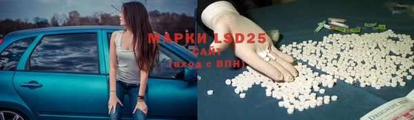 индика Волоколамск