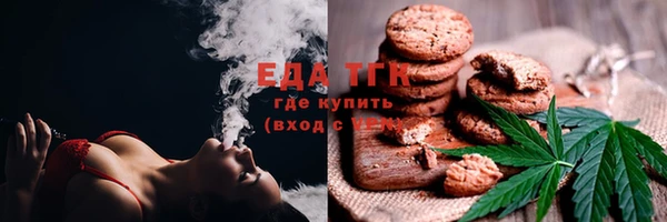 индика Верея