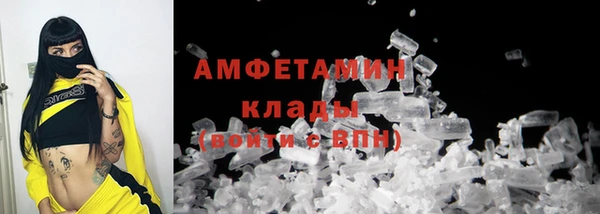 индика Волоколамск