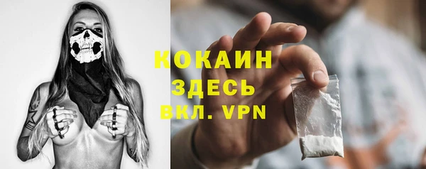 индика Верея