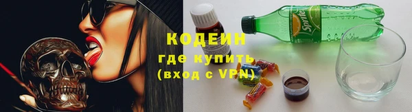 индика Верея
