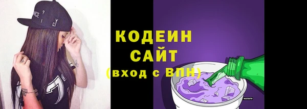 индика Верея