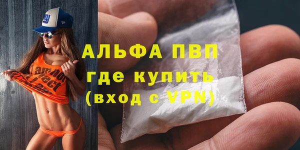 индика Верея