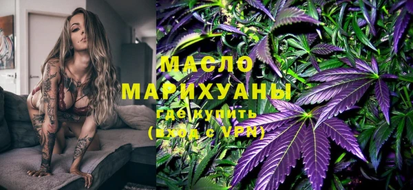 индика Волоколамск