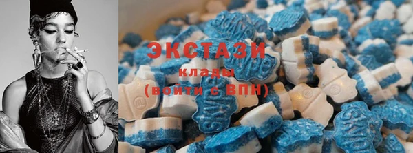 индика Верея