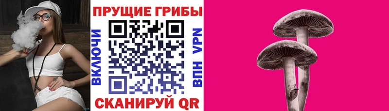 Галлюциногенные грибы GOLDEN TEACHER  хочу   Камень-на-Оби 